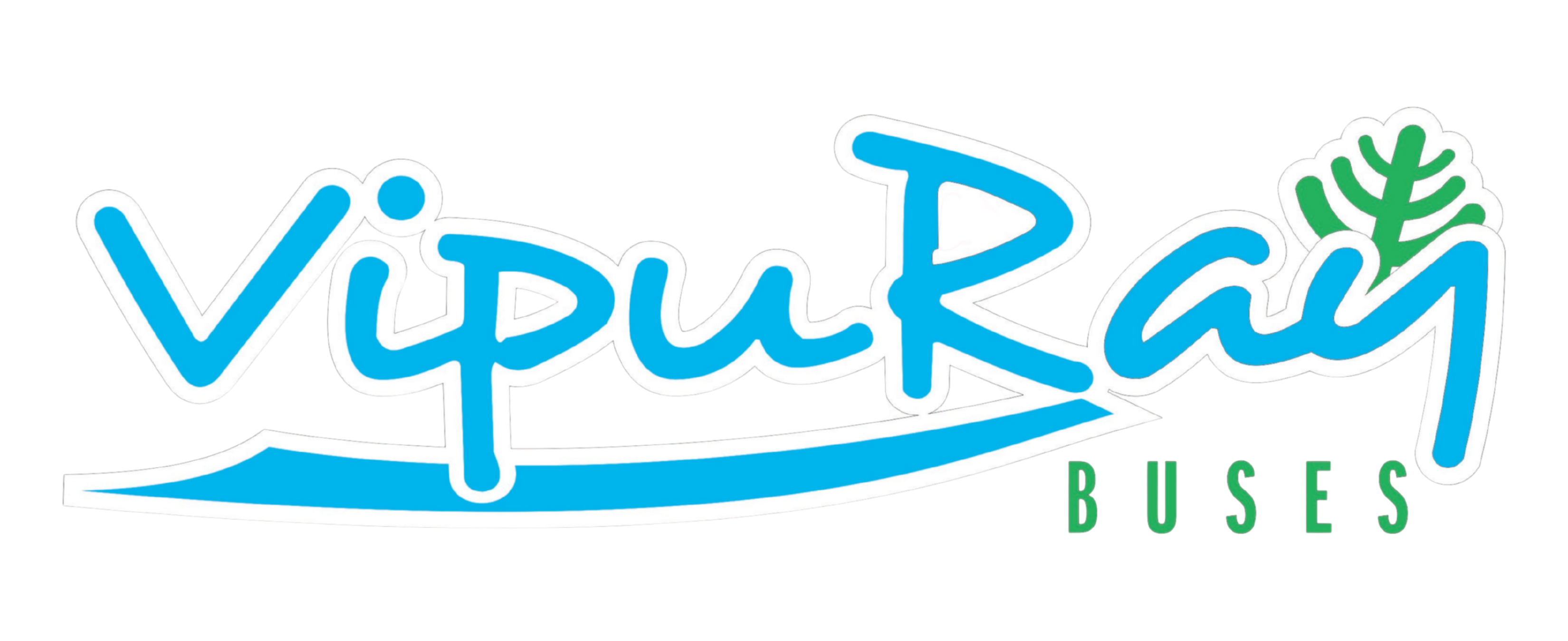Terminal de Buses Vipu-Ray Villarrica